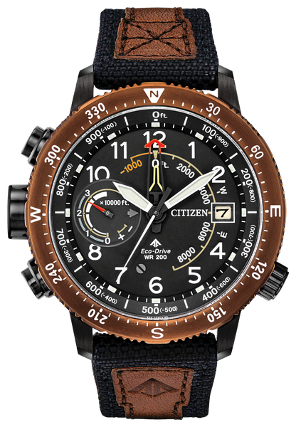 Citizen Eco-Drive BN5055-05E ALTICHRON