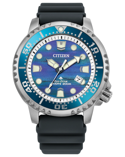 BN0167-09W_Catalog
