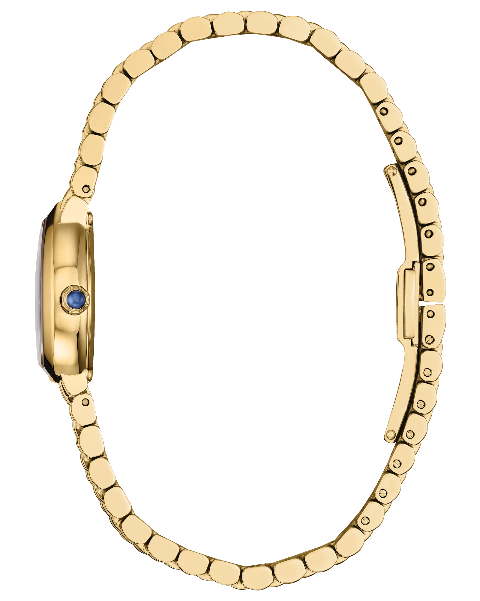 EX1552-59A_Profile