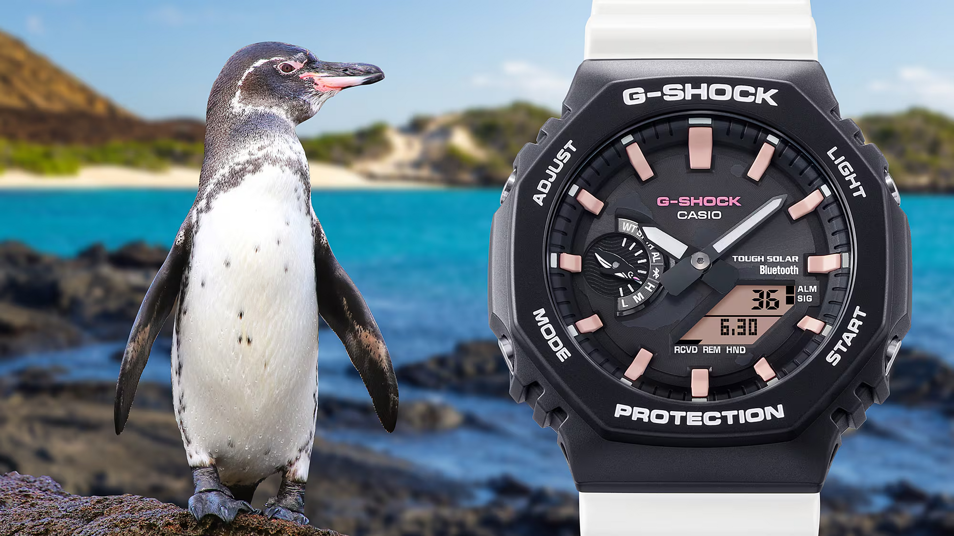 G-Shock GAB2100CD1A7 Charles Darwin Galapagos Penguin Tough Solar G-Shock GAB2100CD1A7 Charles Darwin Galapagos Penguin Tough Solar