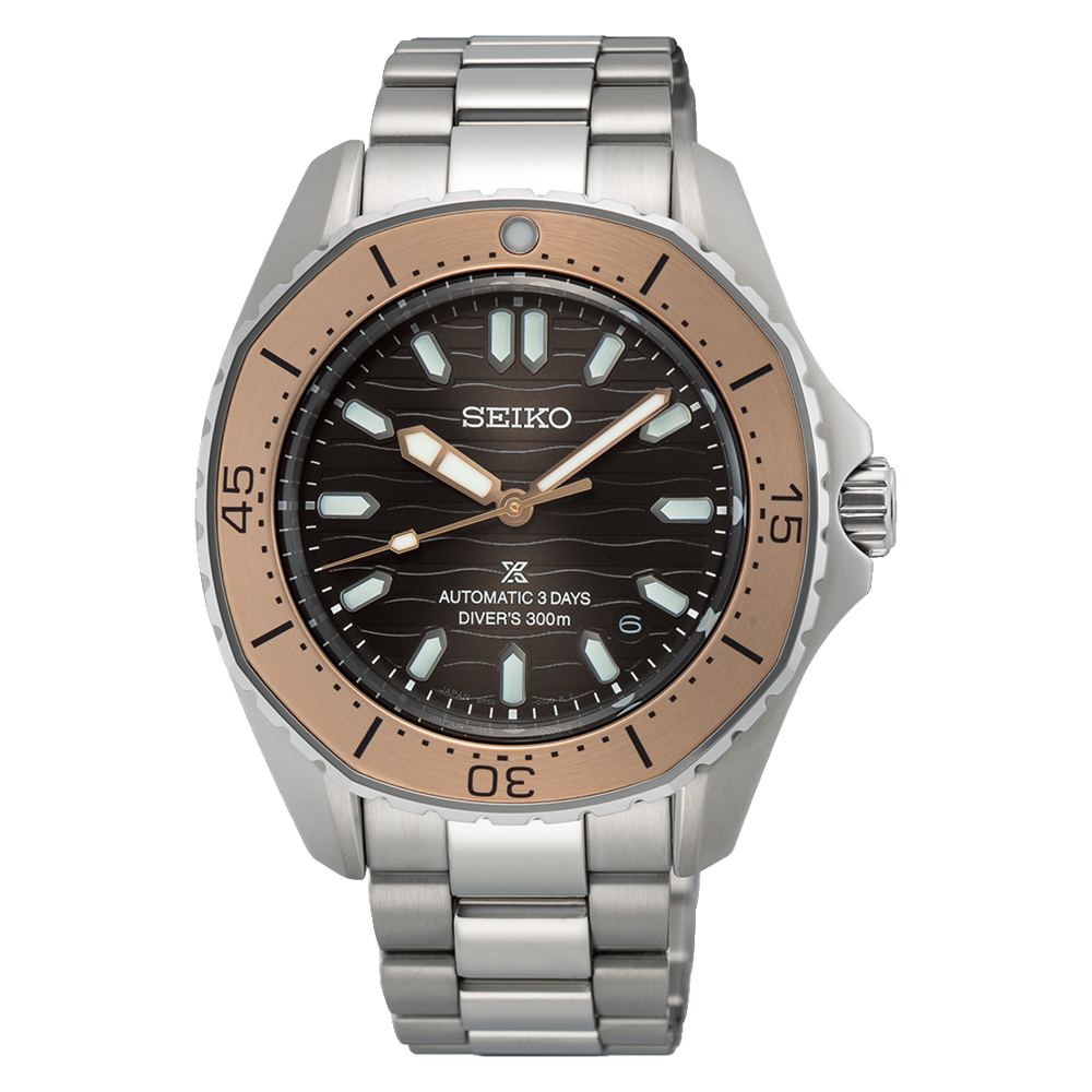 Seiko Prospex SPB485 Seaside Diver Automatic Black Dial – Arizona
