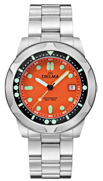 Rusty Topped Delma Delma – Arizona Fine Time
