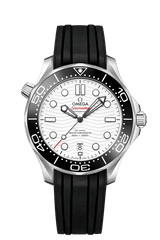 Omega Seamaster 210.32.42.20.04.001 Professional 300m Co-Axial Master Chronometer