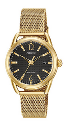 Citizen Ladies Eco-Drive LTR  FE6082-59E