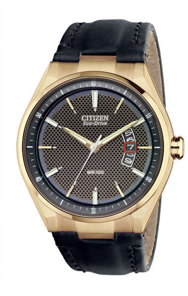 Drive by Citizen Eco-Drive CTO 2.0 AW1133-06H