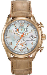 Citizen Ladies Eco-Drive World Time A-T FC0003-18D