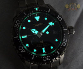 Grand Seiko Spring Drive Diver Titanium SBGA031